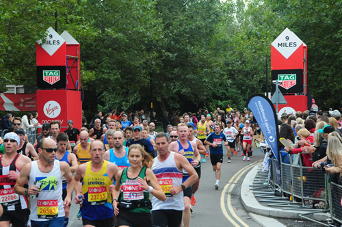 Training Plans For Runners in Sale M33